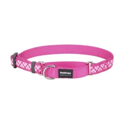 Red Dingo Martingale Dog Collar Gingham Hot Pink