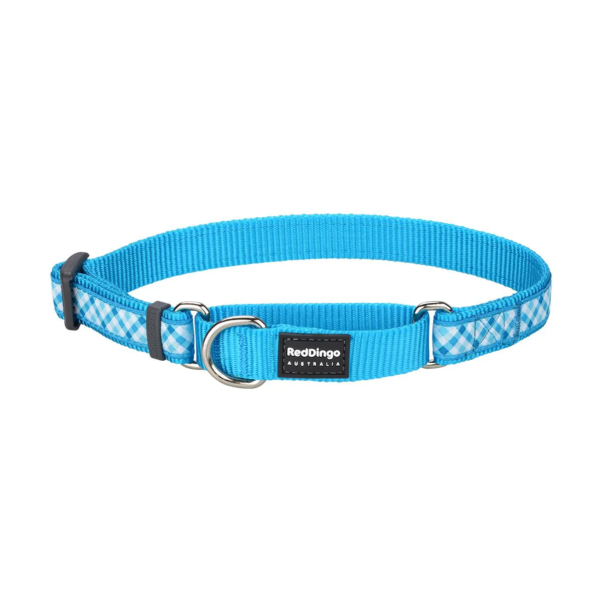 Red Dingo Martingale Dog Collar Gingham Turquoise