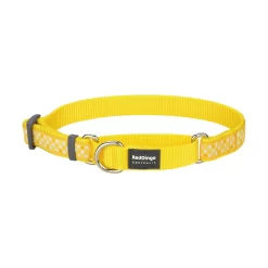 Red Dingo Martingale Dog Collar Gingham Yellow