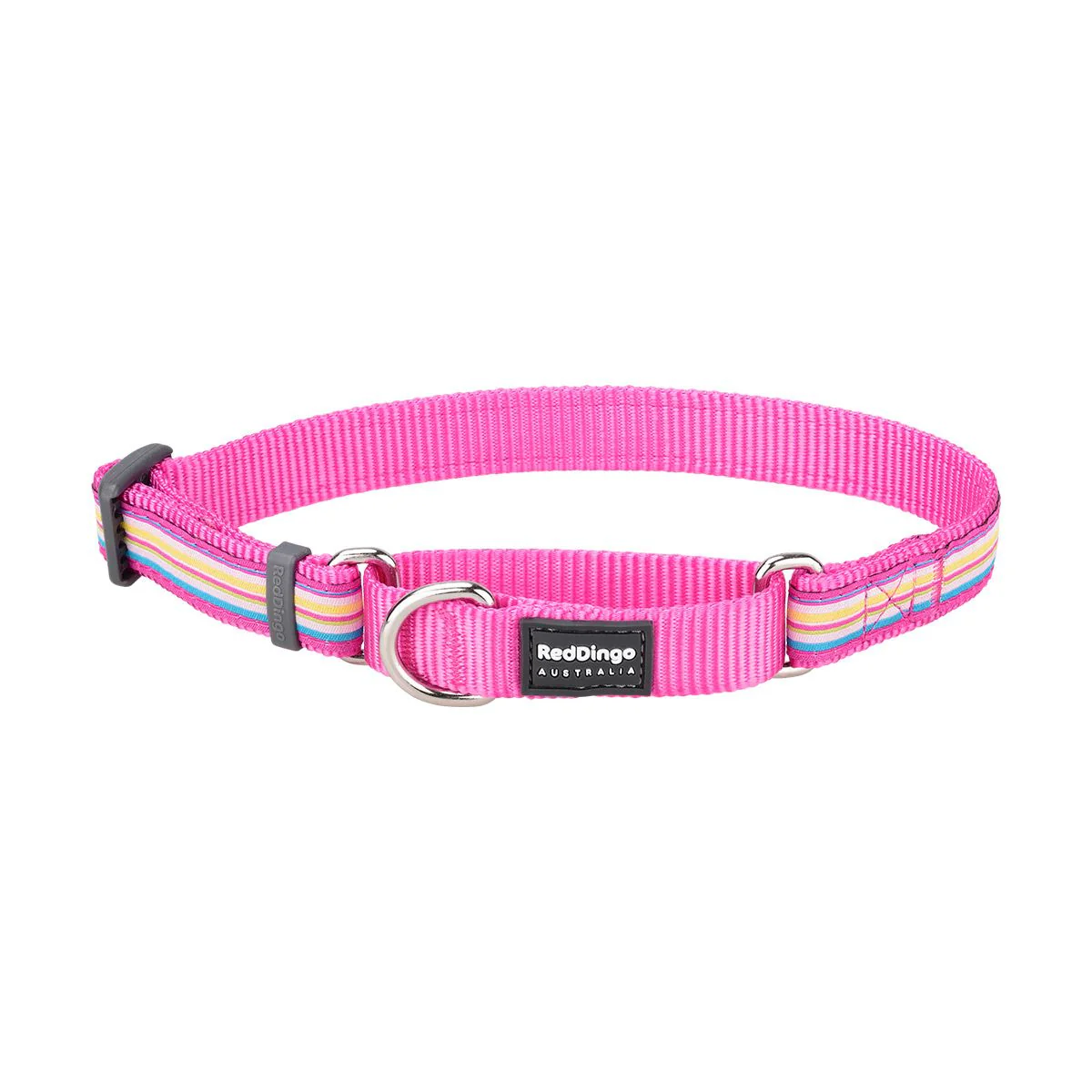 Red Dingo Martingale Dog Collar Horizontal Stripes Hot Pink