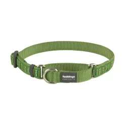 Red Dingo Martingale Dog Collar Lotzadotz Green