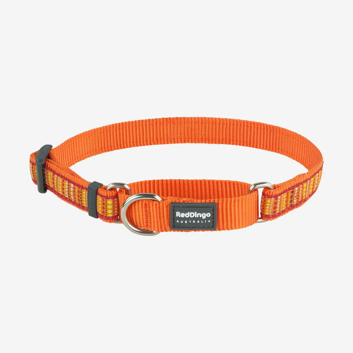 Red Dingo Martingale Dog Collar Lotzadotz Orange - Image 4