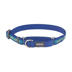 Red Dingo Martingale Dog Collar Paisley Blue With Green