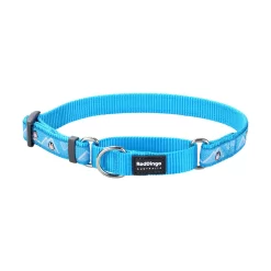 Red Dingo Martingale Dog Collar Penguin Turquoise