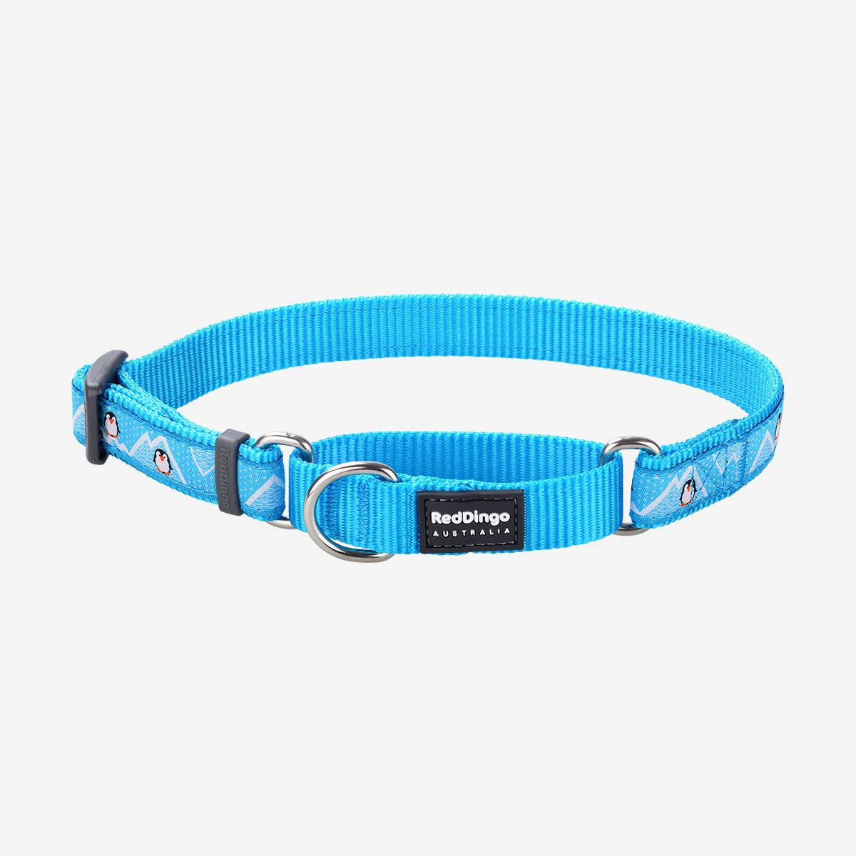Red Dingo Martingale Dog Collar Penguin Turquoise - Image 4