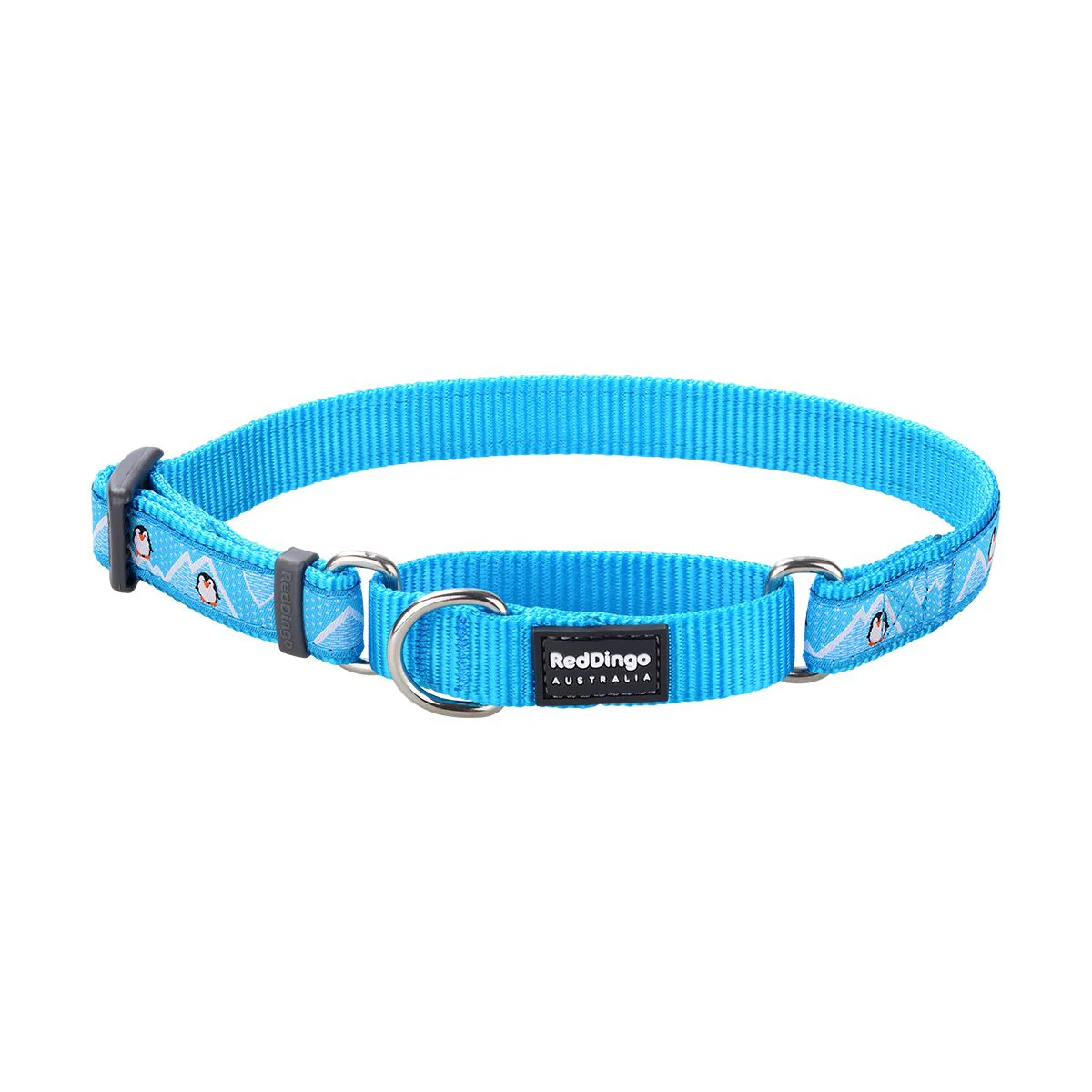 Red Dingo Martingale Dog Collar Penguin Turquoise