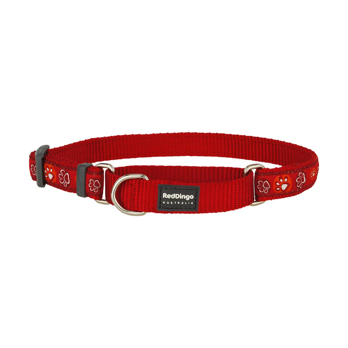 Red Dingo Martingale Dog Collar Paw Impressions Red - Image 3