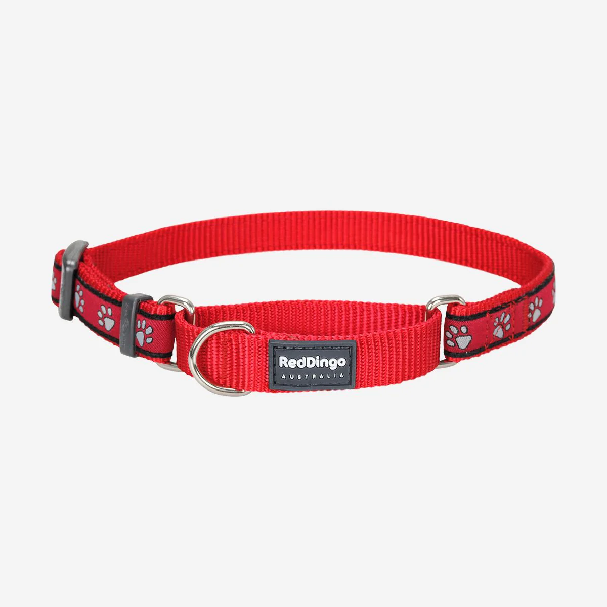 Red Dingo Martingale Dog Collar Pawprints Red - Image 7