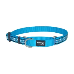 Red Dingo Martingale Dog Collar Reflective Bones Turquoise