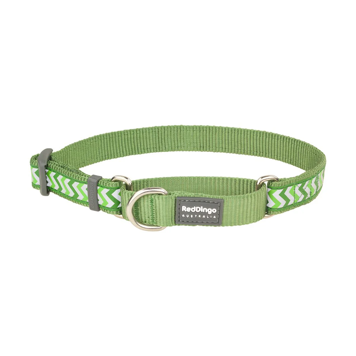 Red Dingo Martingale Dog Collar Reflective Ziggy Green - Image 13