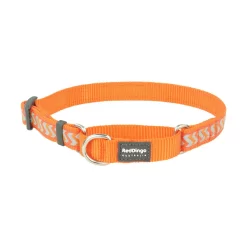 Red Dingo Martingale Dog Collar Reflective Ziggy Orange