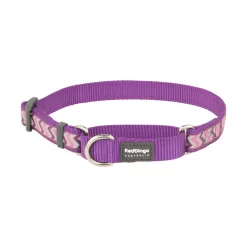 Red Dingo Martingale Dog Collar Reflective Ziggy Purple