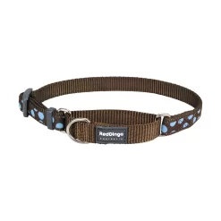 Red Dingo Martingale Dog Collar Blue Spots On Brown