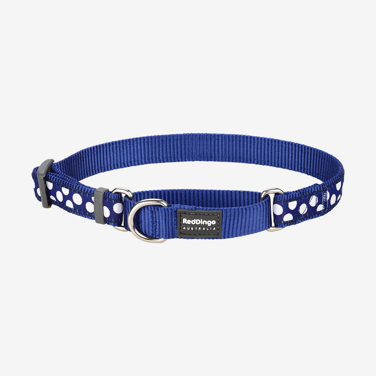 Red Dingo Martingale Dog Collar White Spots On Dark Blue - Image 13