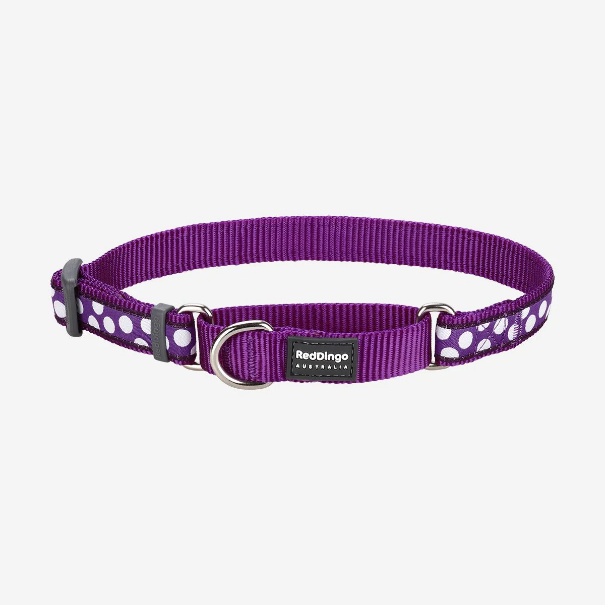Red Dingo Martingale Dog Collar White Spots On Purple - Image 10