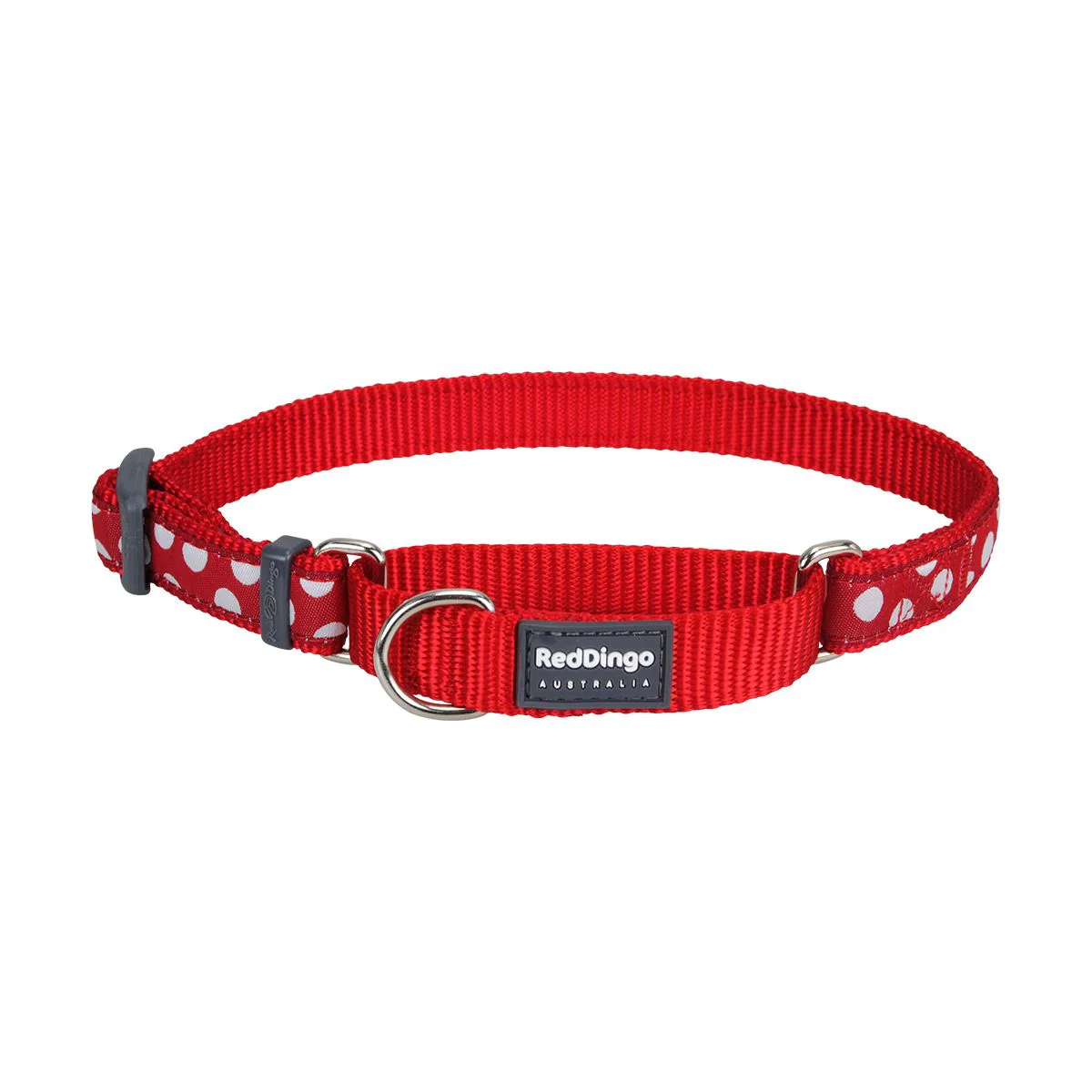Red Dingo Martingale Dog Collar White Spots On Red - Image 6
