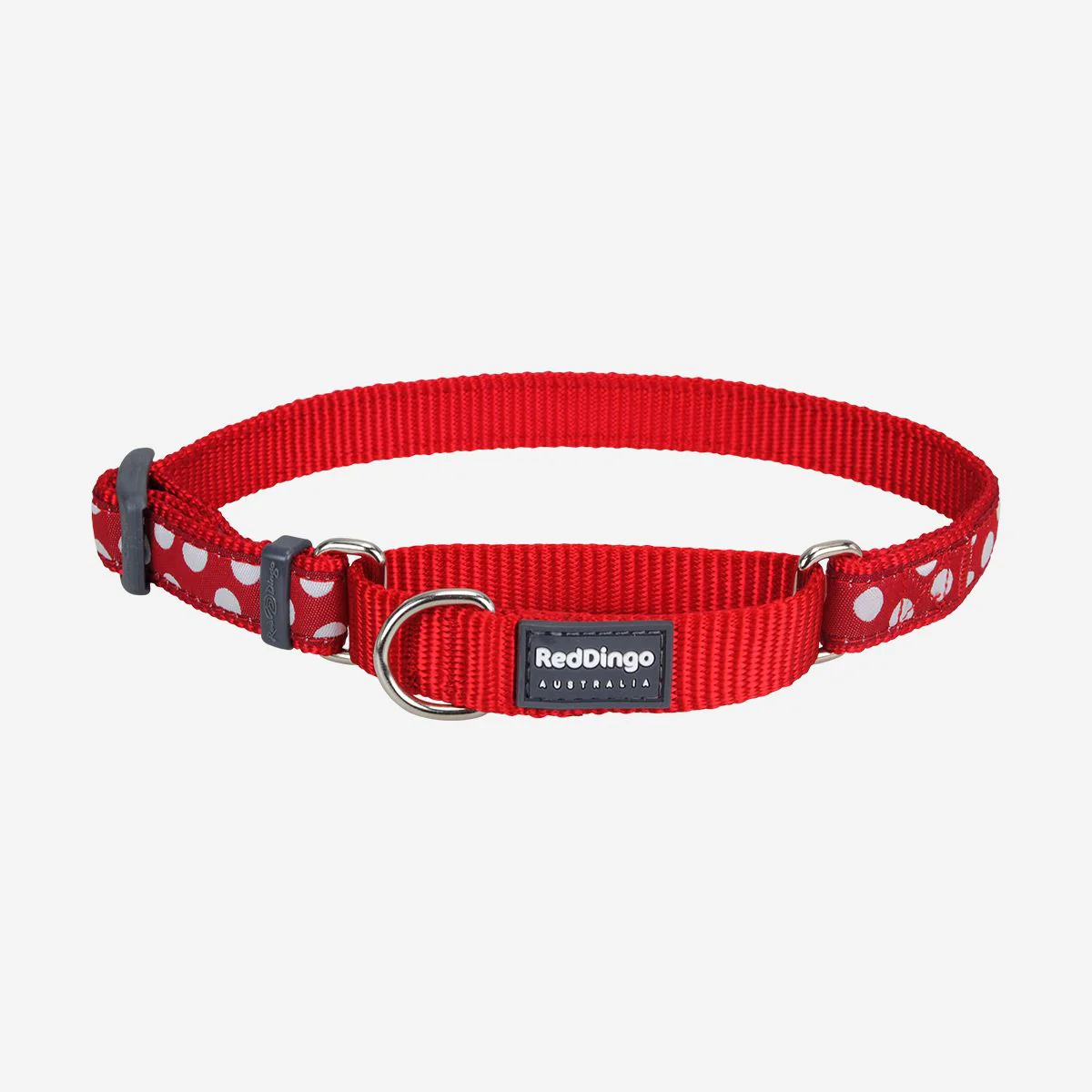 Red Dingo Martingale Dog Collar White Spots On Red - Image 7