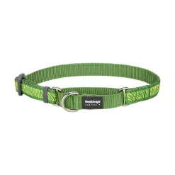 Red Dingo Martingale Dog Collar Safari Green