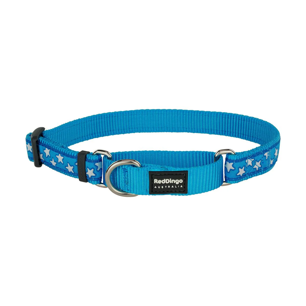Red Dingo Martingale Dog Collar Stars White On Turquoise - Image 3