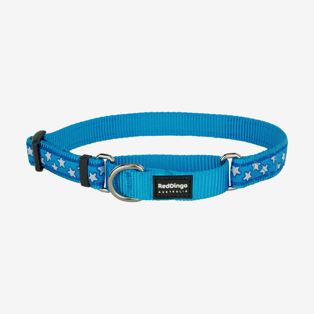 Red Dingo Martingale Dog Collar Stars White On Turquoise - Image 4