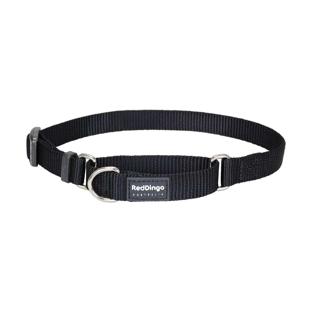 Red Dingo Martingale Dog Collar Plain Black - Image 12
