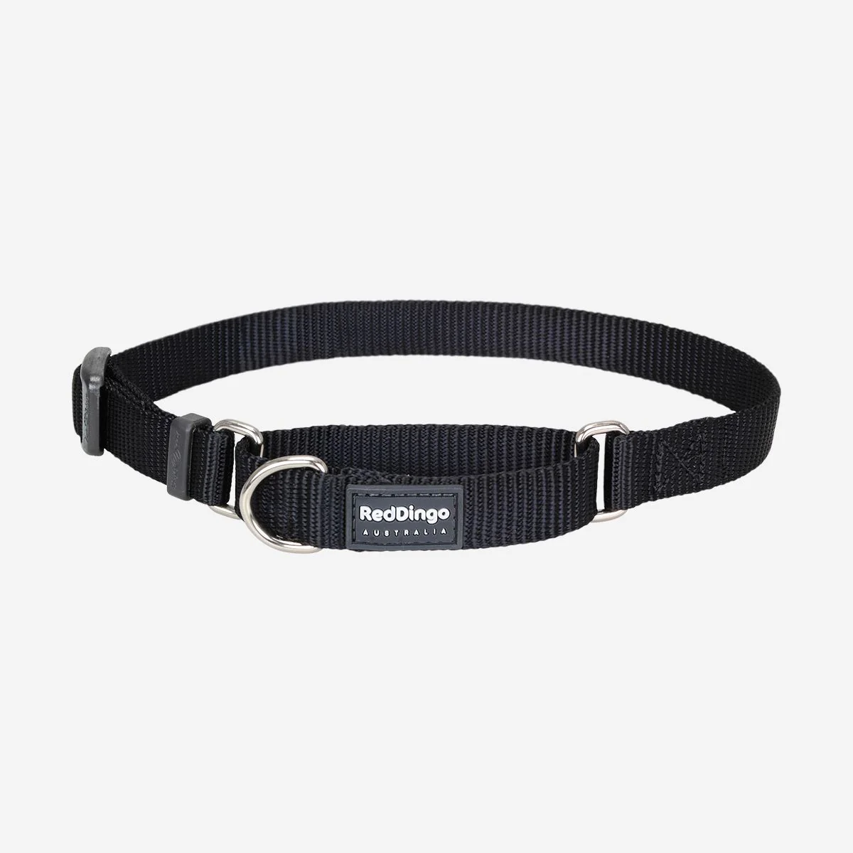 Red Dingo Martingale Dog Collar Plain Black - Image 10