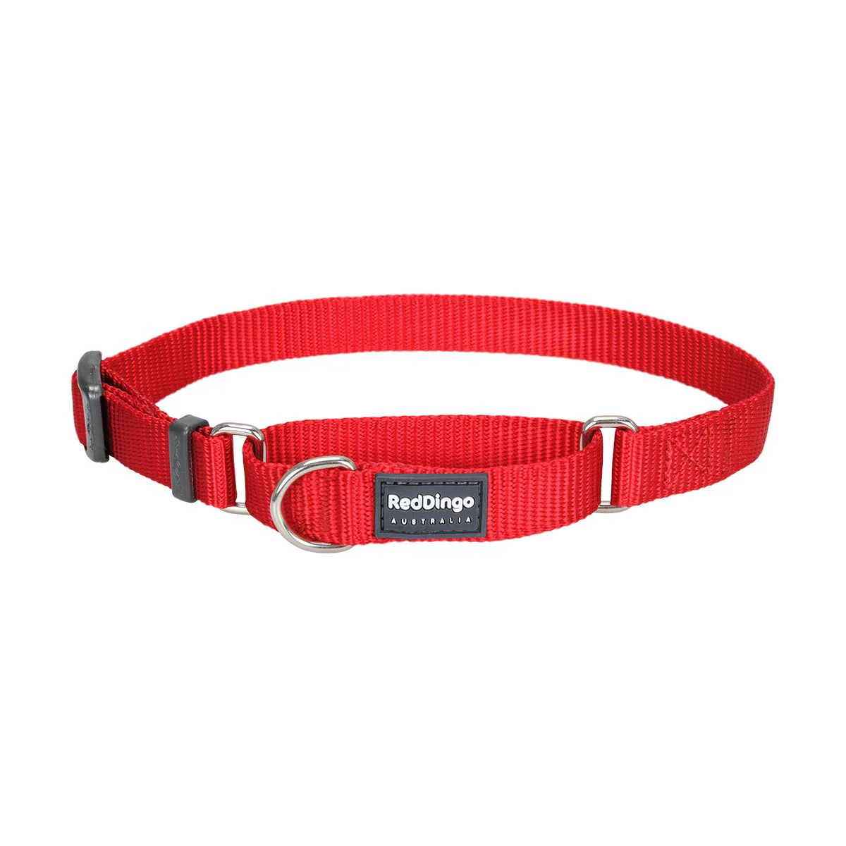 Red Dingo Martingale Dog Collar Plain Red - Image 6