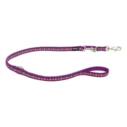 Red Dingo Multipurpose Dog Lead Daisy Chain Purple