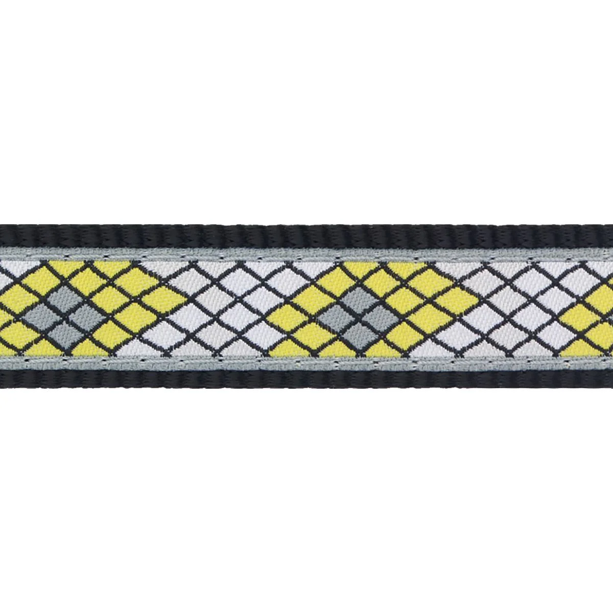 Red Dingo Dog Collar Monty Black - Image 8