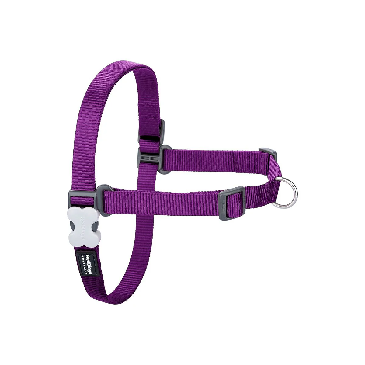Red Dingo No-Pull Dog Harness Plain Purple - Image 3