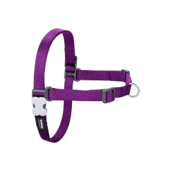 Red Dingo No-Pull Dog Harness Plain Purple