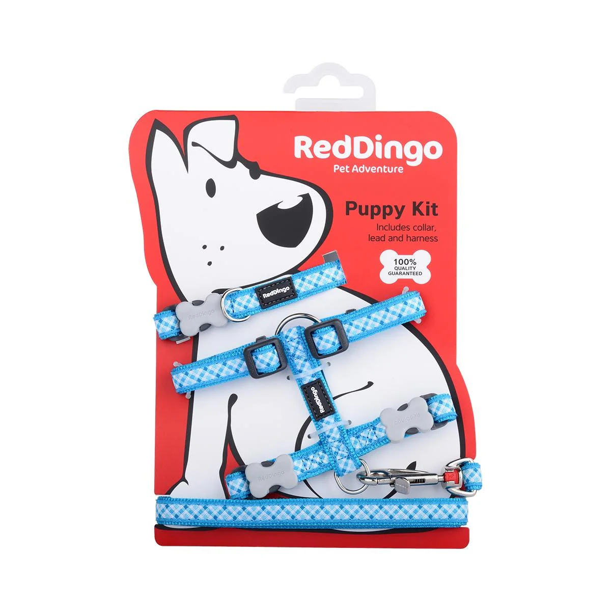Red Dingo Puppy Kit Gingham Turquoise - Image 3
