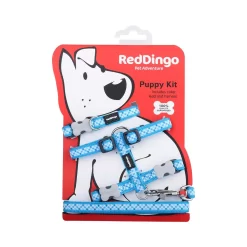 Red Dingo Puppy Kit Gingham Turquoise