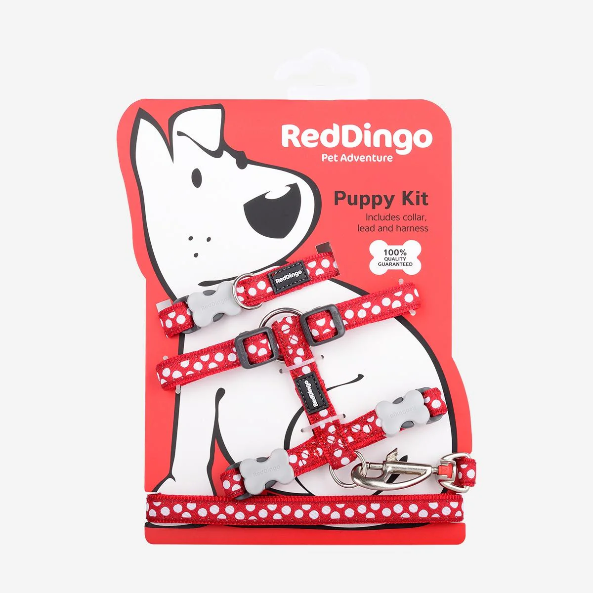 Red Dingo Puppy Kit White Spots On Red - Image 6