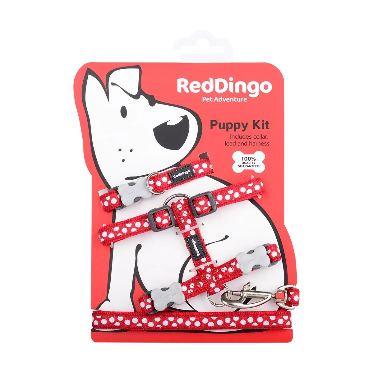 Red Dingo Puppy Kit White Spots On Red