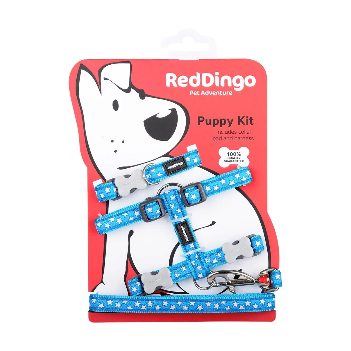 Red Dingo Puppy Kit White Stars On Turquoise
