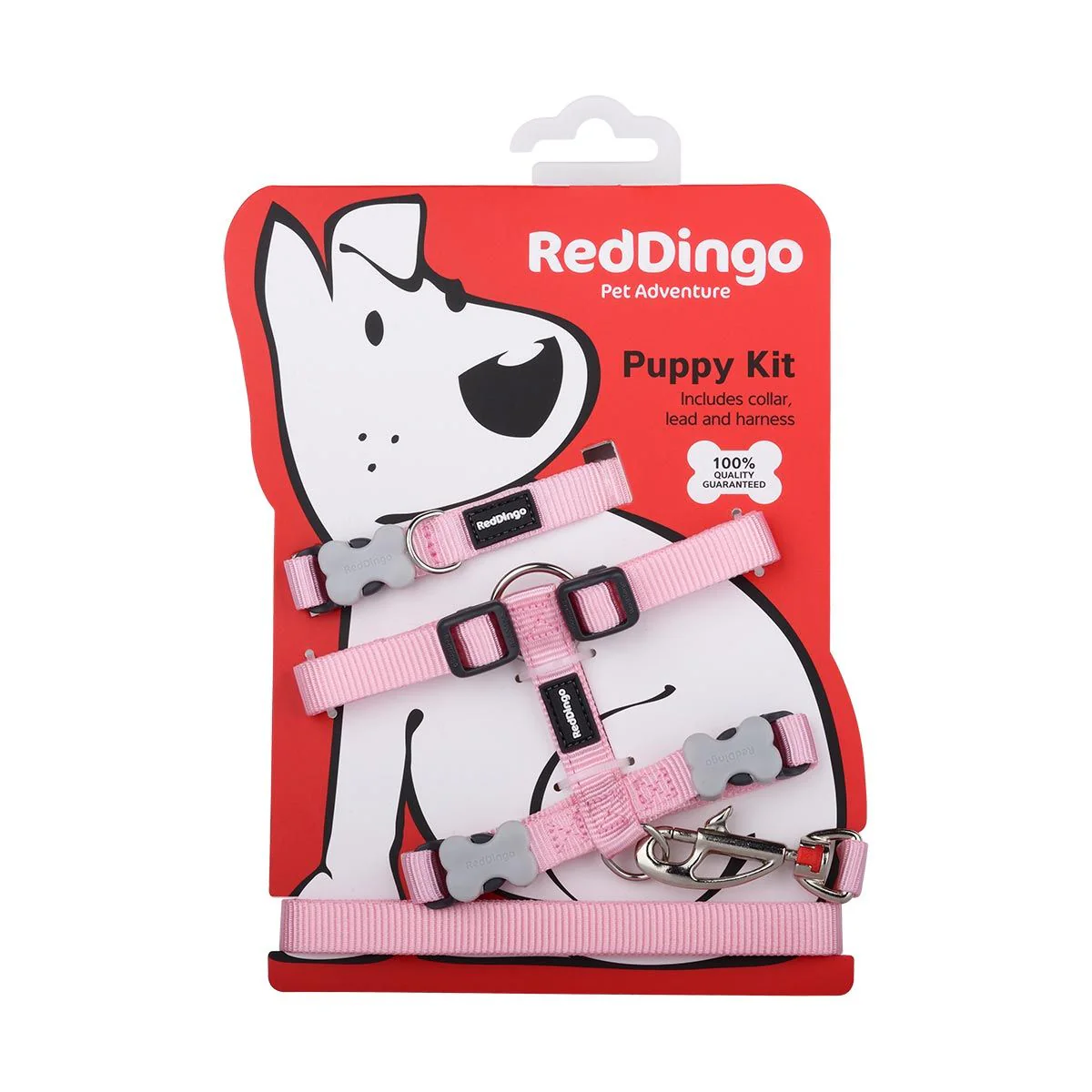 Red Dingo Puppy Kit Plain Pink - Image 3