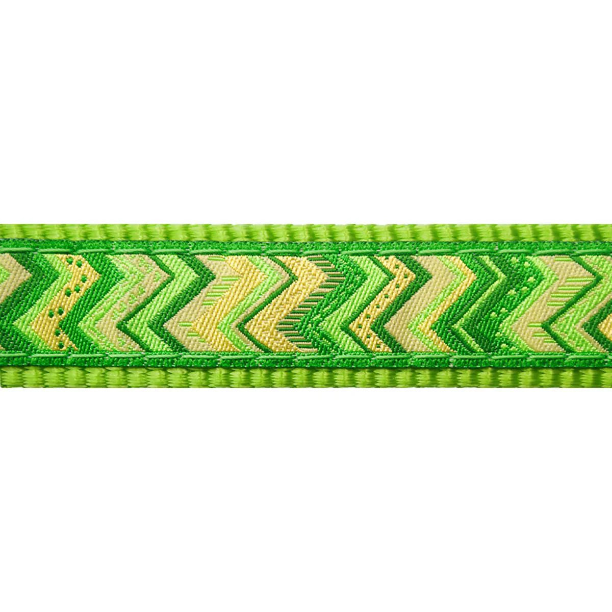 Red Dingo Dog Collar Pizzazz Lime Green - Image 5