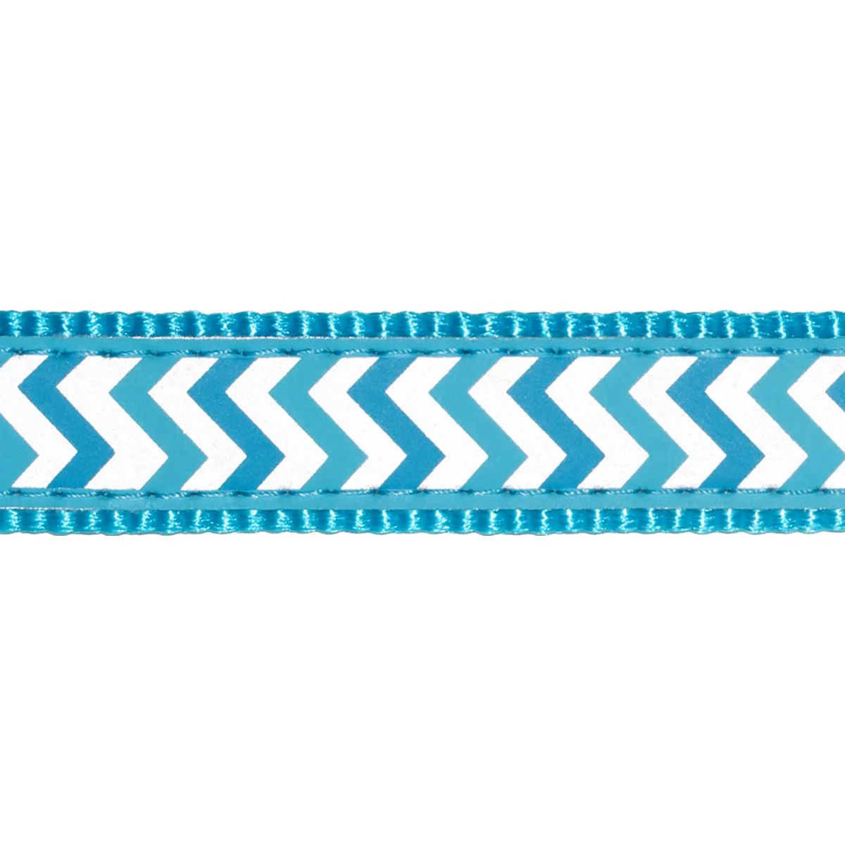 Red Dingo Dog Collar Reflective Ziggy Turquoise - Image 15