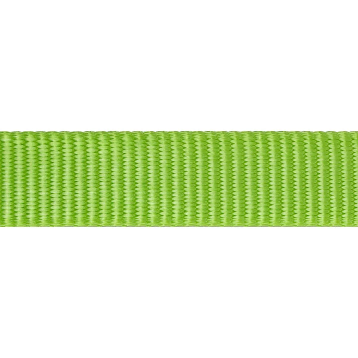 Red Dingo Dog Collar Plain Lime Green - Image 17