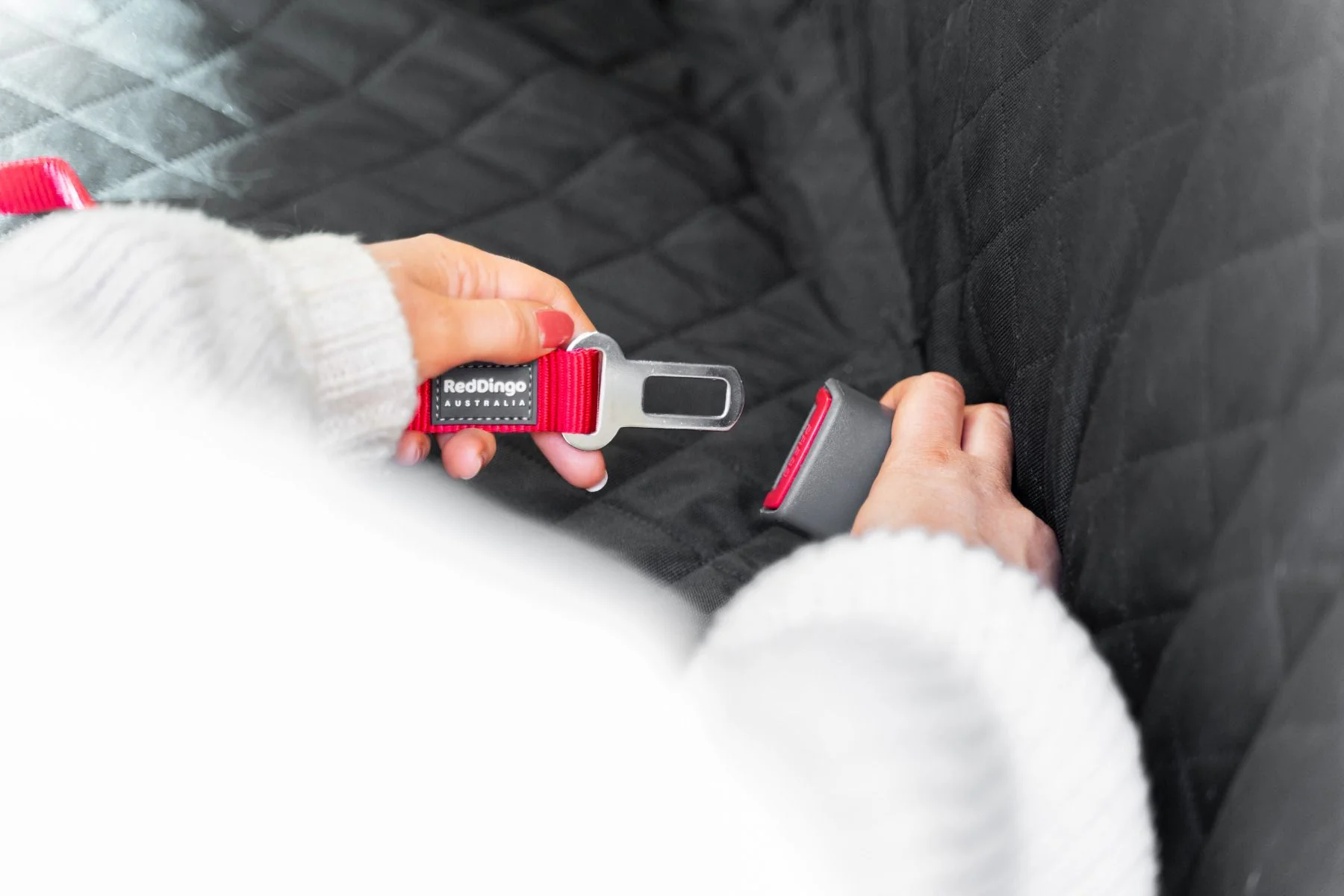 Red Dingo Dog Car Restraint Plain Black - Image 4