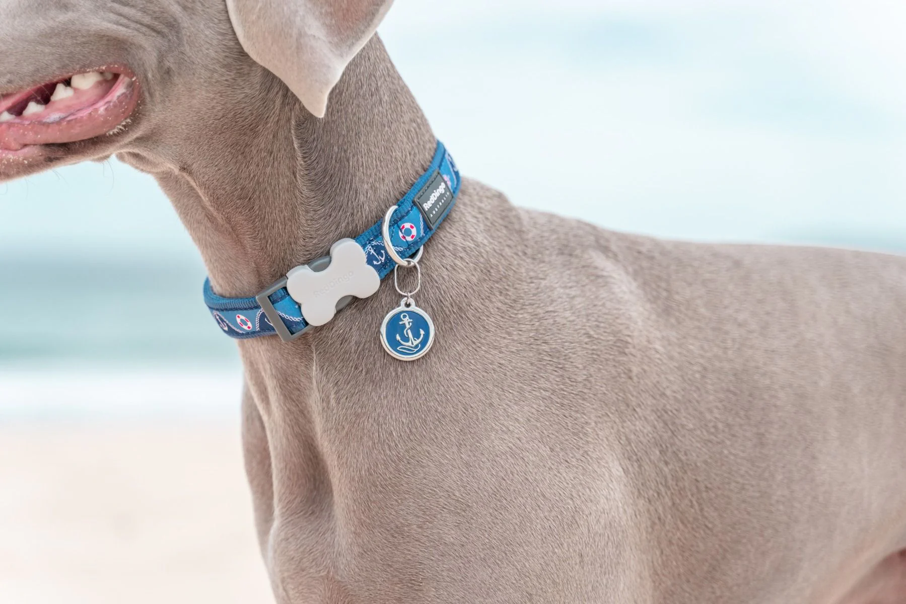 Red Dingo Dog Collar Nautical Dark Blue - Image 4