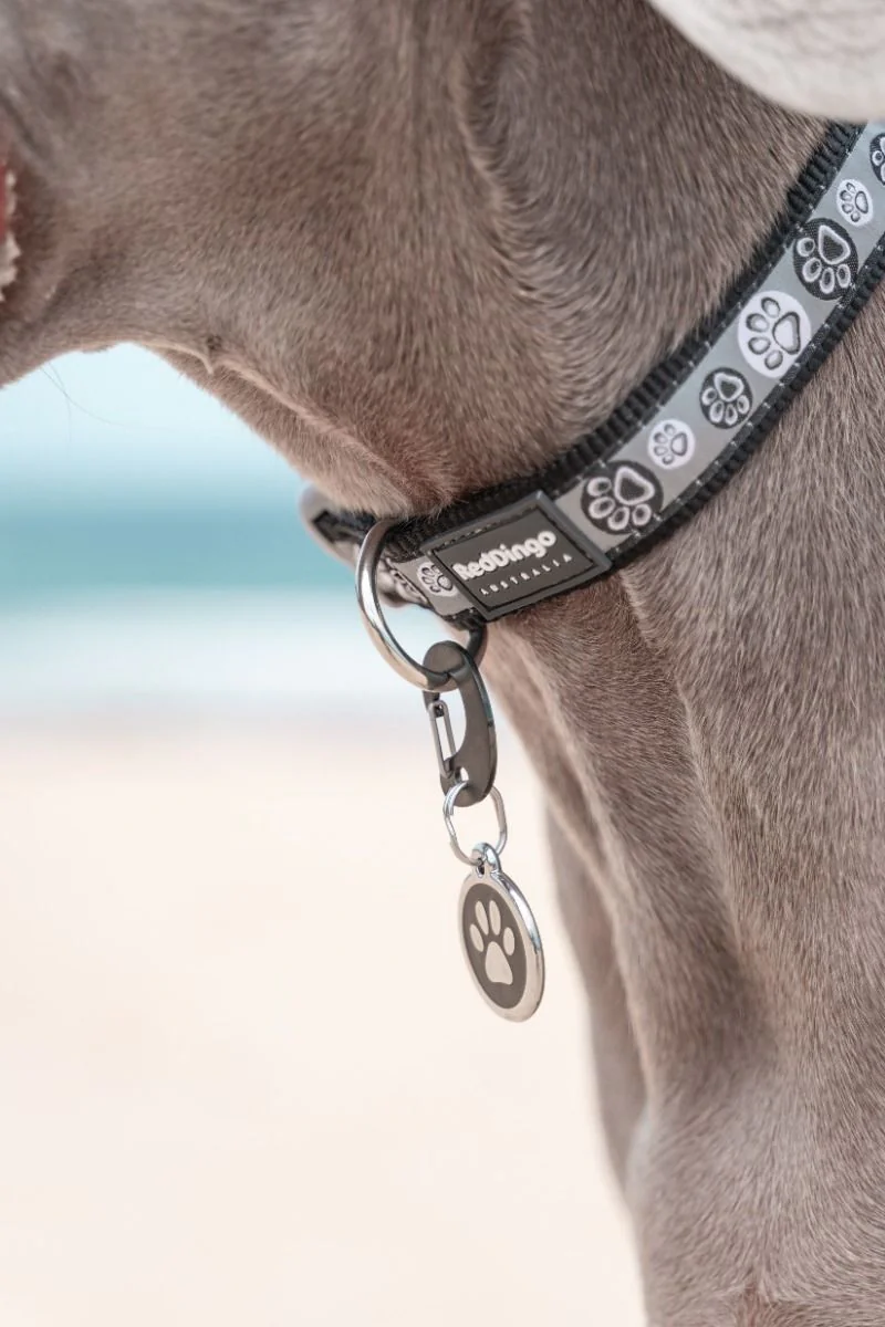 Red Dingo ID Tag Xchanger Charcoal - Image 2