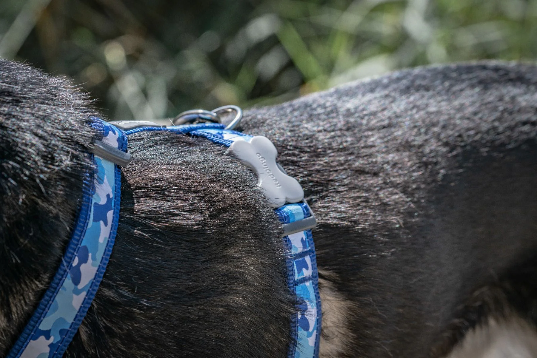 Red Dingo Dog Harness Camouflage Dark Blue - Image 4