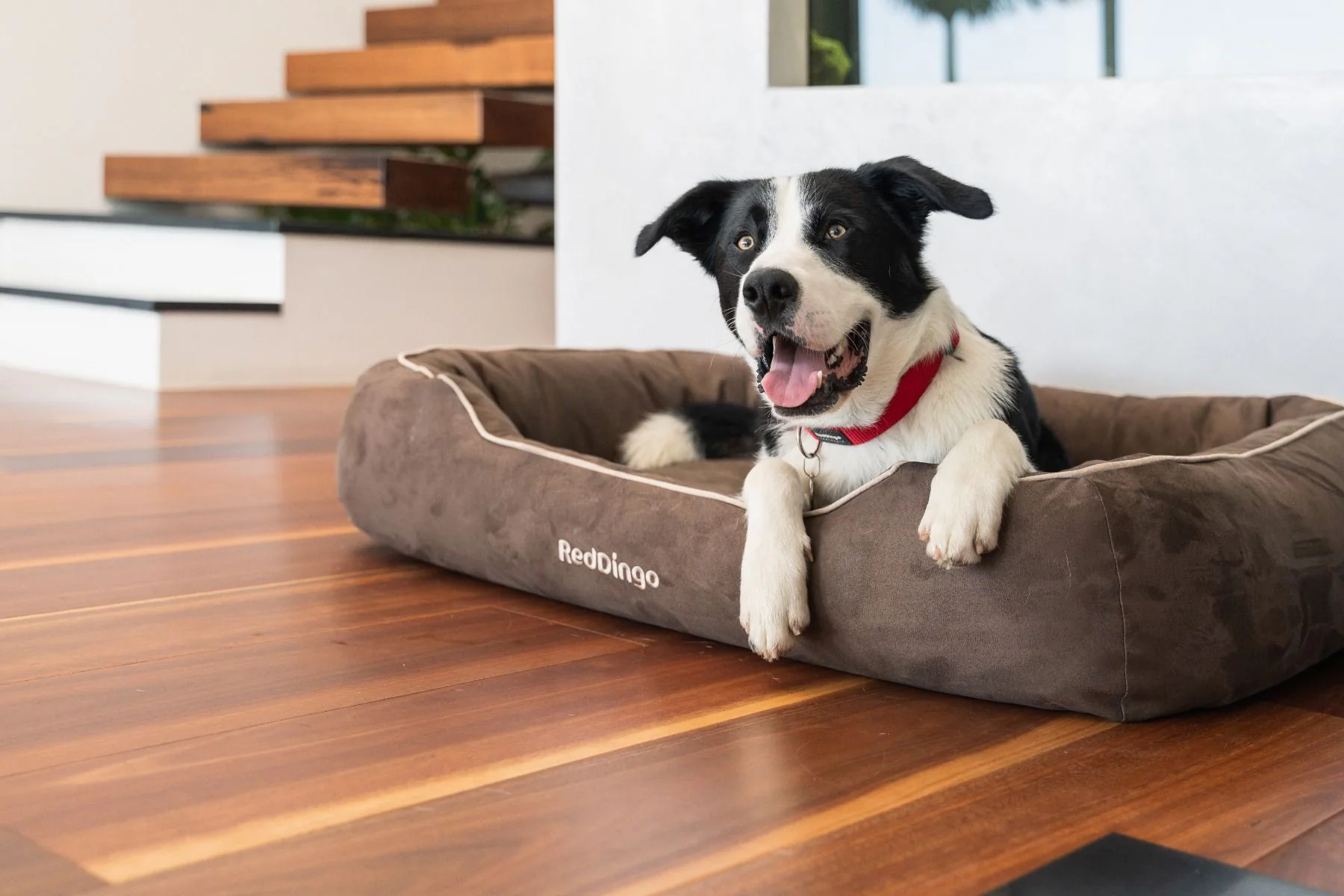 Red Dingo Premium Dog Donut Bed Chocolate - Image 2