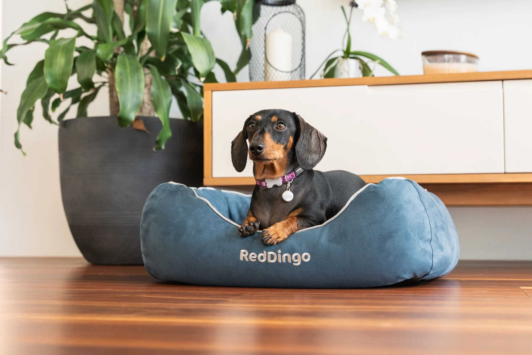 Red Dingo Premium Dog Donut Bed Marine - Image 2