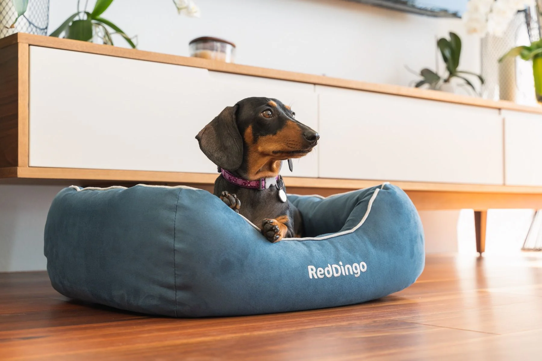 Red Dingo Premium Dog Donut Bed Marine - Image 4