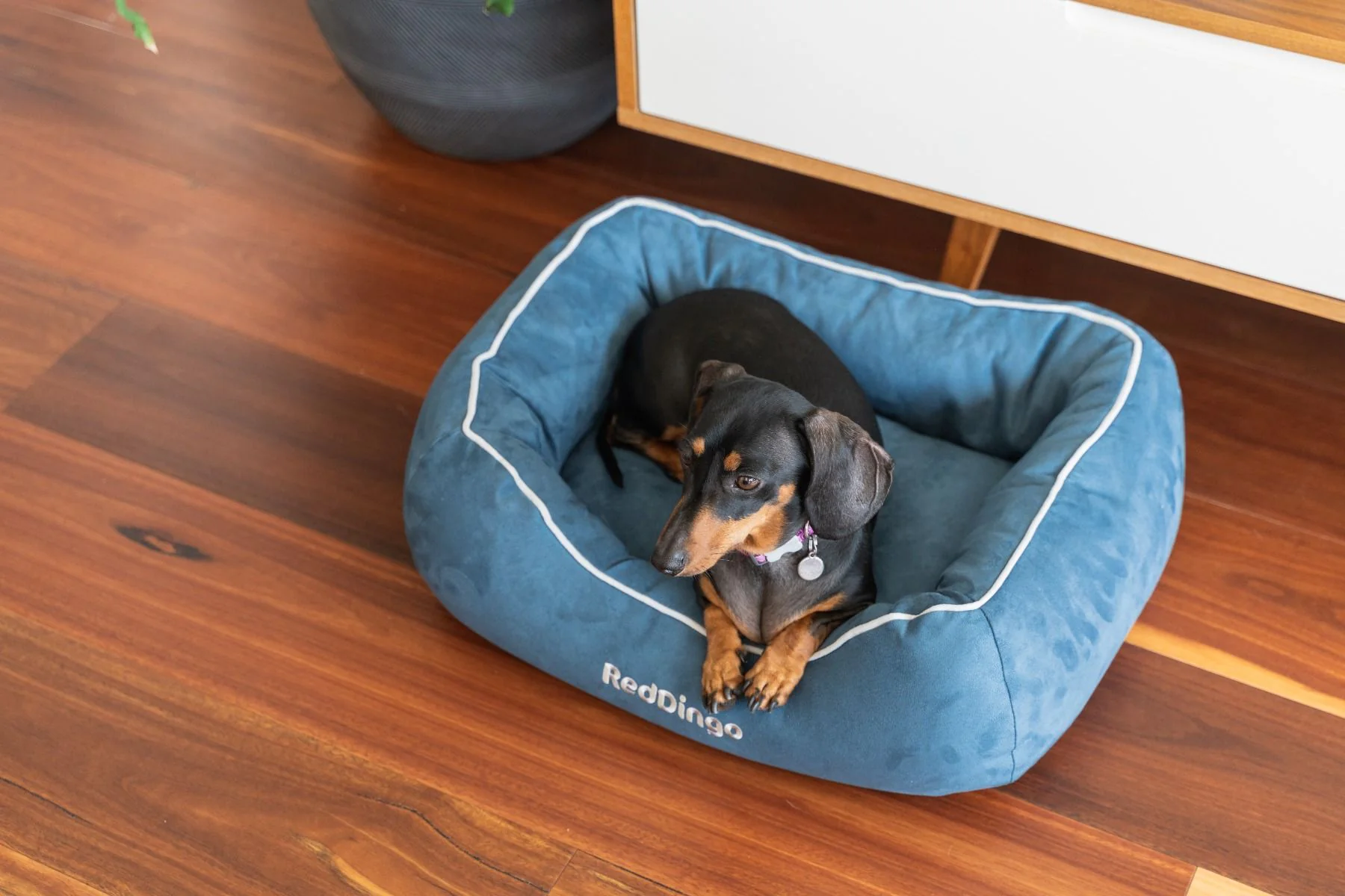 Red Dingo Premium Dog Donut Bed Marine - Image 3