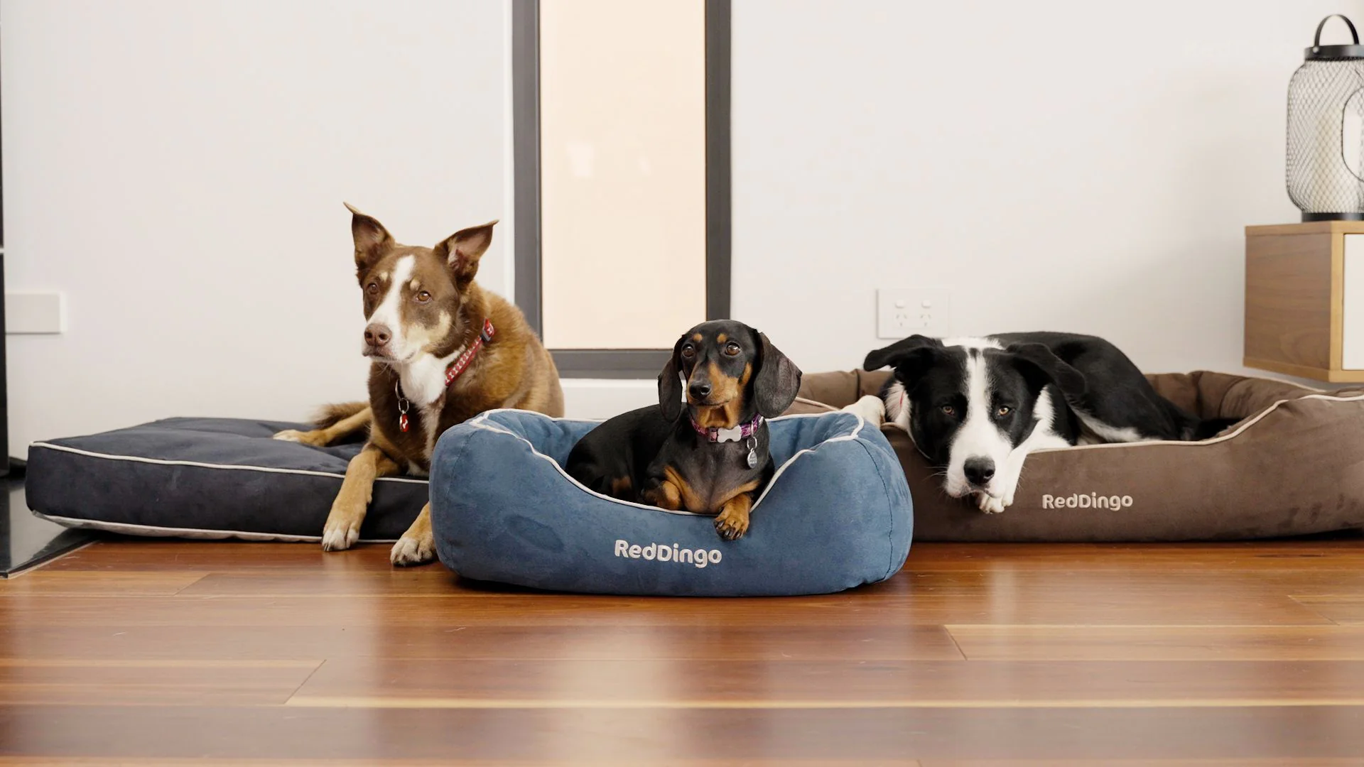 Red Dingo Premium Dog Donut Bed Chocolate - Image 4