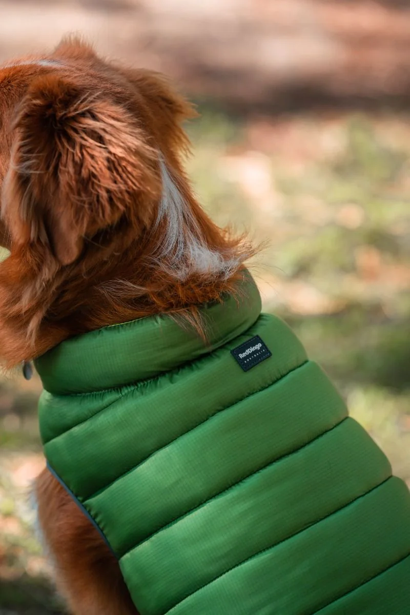 Red Dingo Puffer Jacket Green/Lime - Image 5